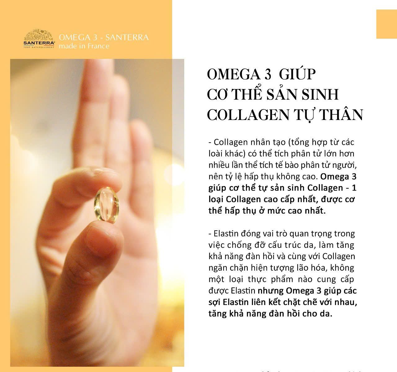 Viên uống SANTERRA Omega 3 Premium 200 viên - Ảnh 5