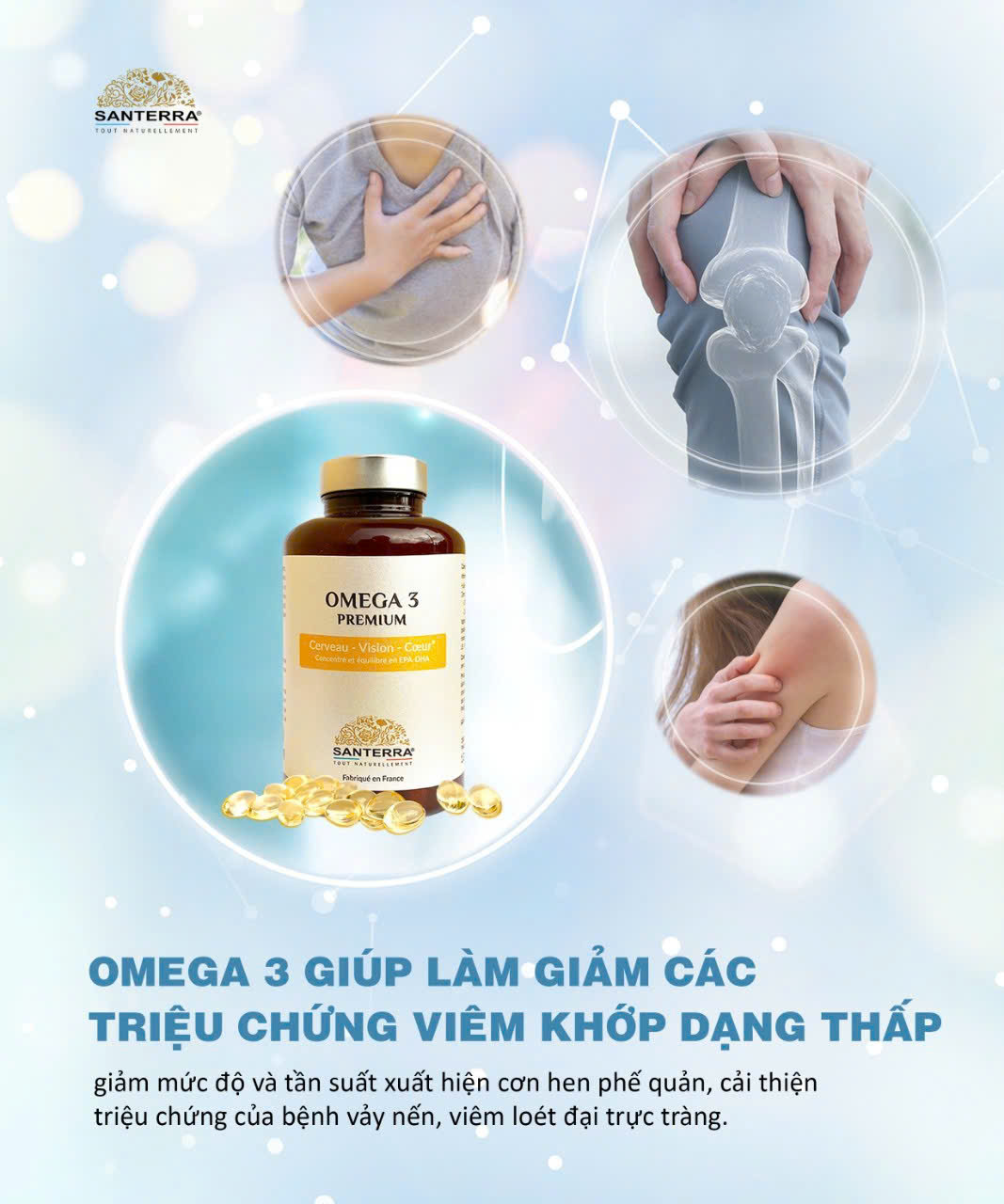 Viên uống SANTERRA Omega 3 Premium 200 viên - Ảnh 12