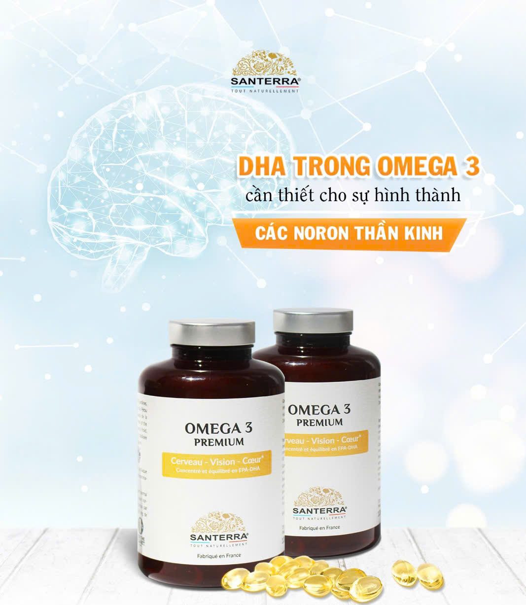 Viên uống SANTERRA Omega 3 Premium 200 viên - Ảnh 9
