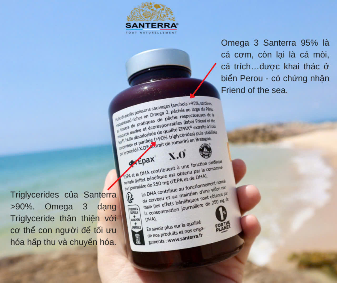 Viên uống SANTERRA Omega 3 Premium 200 viên - Ảnh 4